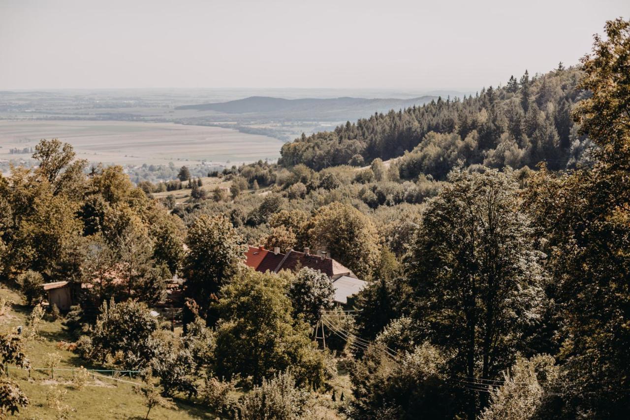 Villa Hubertus Srebrna Gora Bagian luar foto