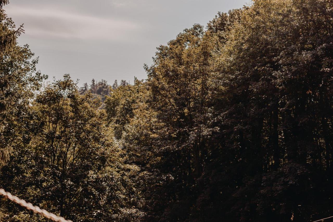 Villa Hubertus Srebrna Gora Bagian luar foto