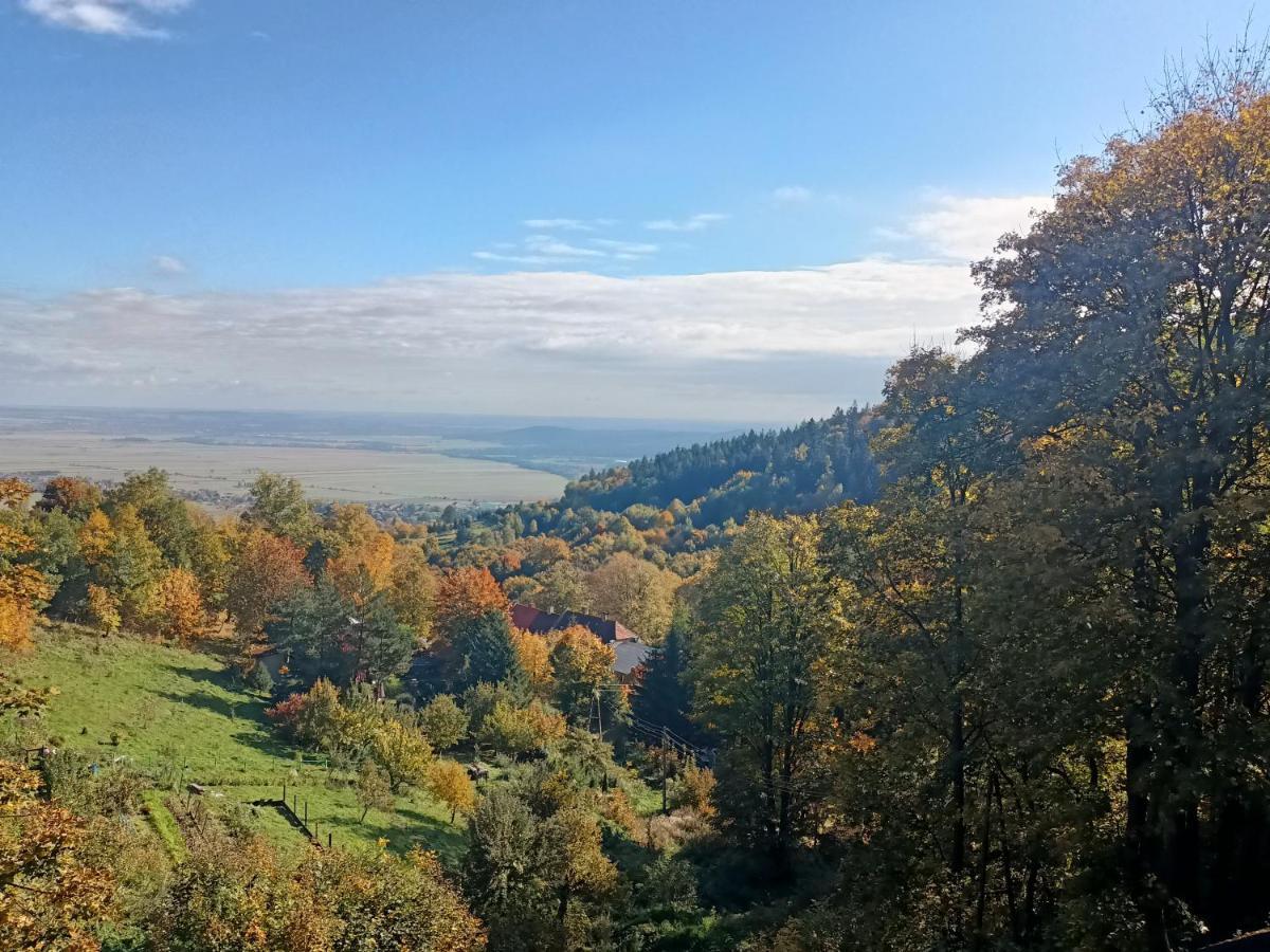 Villa Hubertus Srebrna Gora Bagian luar foto
