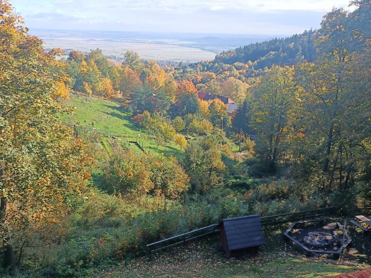 Villa Hubertus Srebrna Gora Bagian luar foto